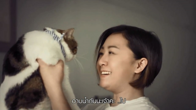 卫浴宣传片制作之《看猫咪反击人类》